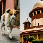 दिल्ली में सभी आवारा कुत्तों को शेल्टर में भेजने का सुप्रीम कोर्ट का आदेश, मचा देशभर में हंगामा